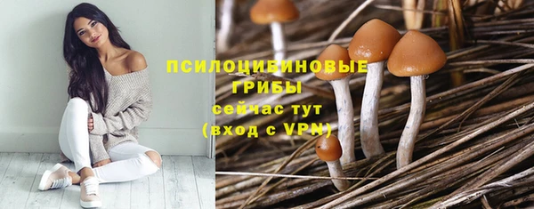 COCAINE Богородицк