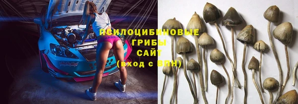 COCAINE Богородицк