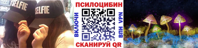ОМГ ОМГ tor  Нерехта  Псилоцибиновые грибы Psilocybe 